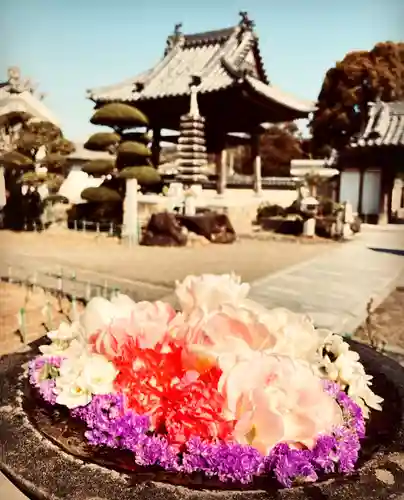 真言宗　善通寺派　薬王寺(香川県)