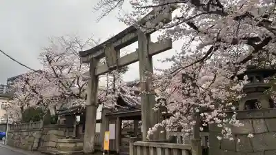 天孫神社の{uncategorized: "未分類", other: "その他", undefined: "問題あり", building: "その他建物", grave: "お墓", sacred_gate: "鳥居", guardian: "狛犬", statue: "像", buddha: "仏像", history: "歴史", nature: "自然", garden: "庭園", animal: "動物", pagoda: "塔", temizu: "手水舎", mountain_gate: "山門・神門", sanctuary: "本殿・本堂", subordinate: "末社・摂社", art: "芸術", scenery: "景色", jizo: "地蔵", ema: "絵馬", goshuin: "御朱印", omikuji: "おみくじ", items: "授与品その他", amulet: "お守り", goshuincho: "御朱印帳", eats: "食事", festival: "お祭り", votive_dance: "神楽", shichigosan: "七五三参", wedding: "結婚式", experience: "体験その他", initially: "初詣", around: "周辺", anti_infection: "感染症対策"}