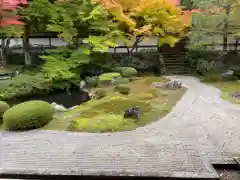 御寺 泉涌寺(京都府)