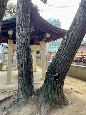 柴又八幡神社(東京都)