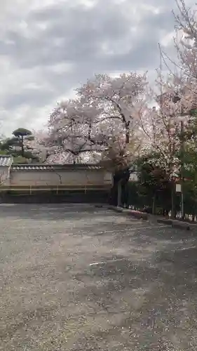 禪定院(東京都)