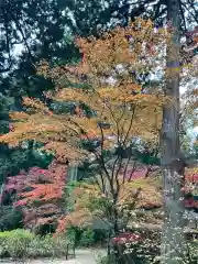 金剛輪寺(滋賀県)