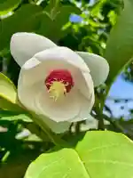 高平山遍照寺の自然