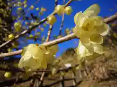 清水寺の自然