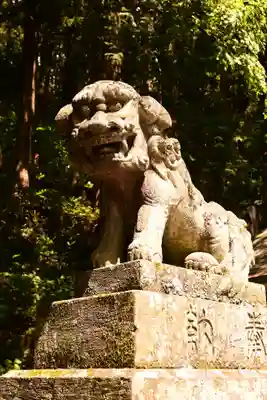 戸隠神社宝光社(長野県)
