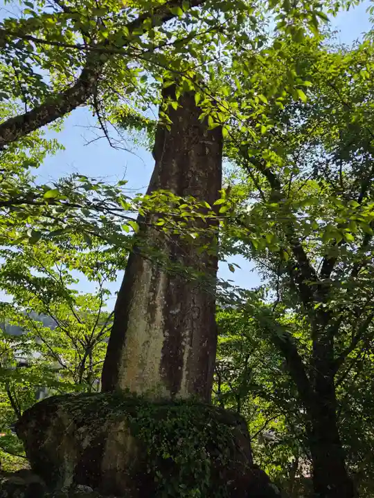 飛驒護國神社(岐阜県)