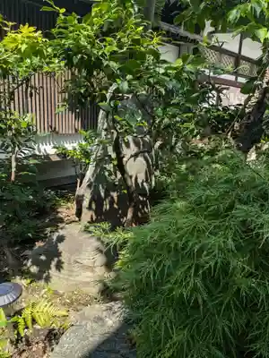 浄雲寺(東京都)