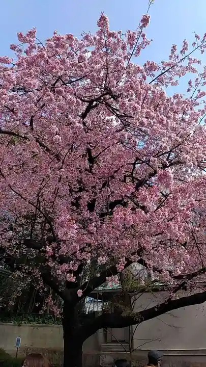 上野東照宮(東京都)