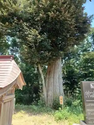 佐波波地祇神社(茨城県)