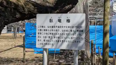 櫻岡大神宮の歴史