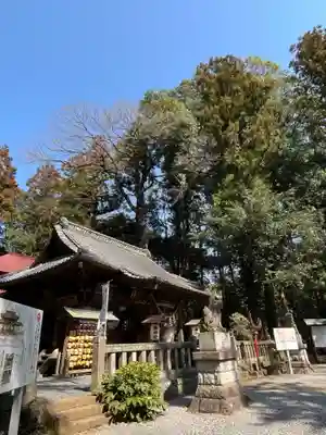 間々田八幡宮(栃木県)