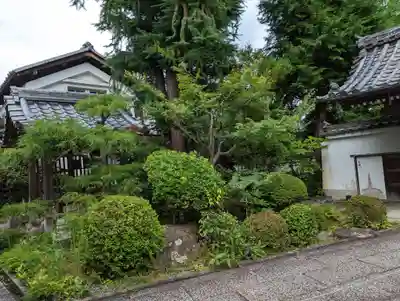 招善寺(京都府)