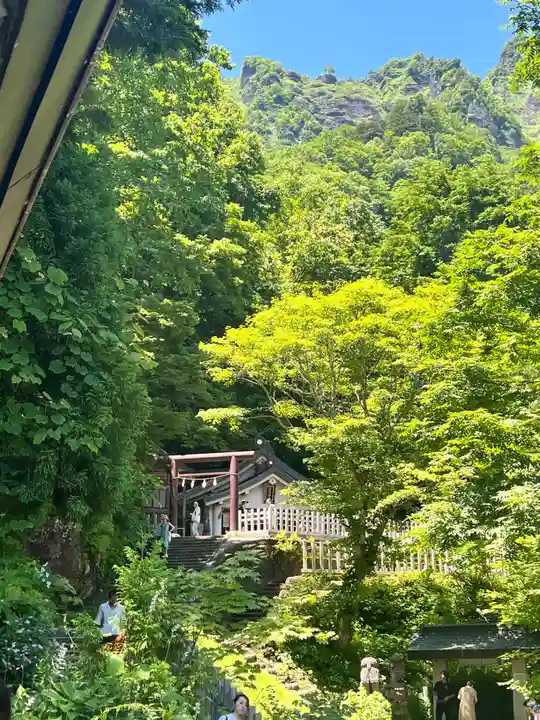 戸隠神社奥社(長野県)