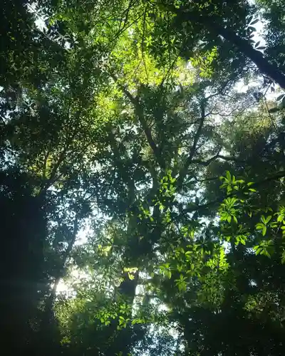 伊勢神宮内宮（皇大神宮）の自然