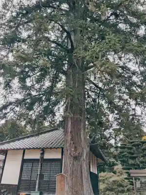 滝仙寺の{uncategorized: "未分類", other: "その他", undefined: "問題あり", building: "その他建物", grave: "お墓", sacred_gate: "鳥居", guardian: "狛犬", statue: "像", buddha: "仏像", history: "歴史", nature: "自然", garden: "庭園", animal: "動物", pagoda: "塔", temizu: "手水舎", mountain_gate: "山門・神門", sanctuary: "本殿・本堂", subordinate: "末社・摂社", art: "芸術", scenery: "景色", jizo: "地蔵", ema: "絵馬", goshuin: "御朱印", omikuji: "おみくじ", items: "授与品その他", amulet: "お守り", goshuincho: "御朱印帳", eats: "食事", festival: "お祭り", votive_dance: "神楽", shichigosan: "七五三参", wedding: "結婚式", experience: "体験その他", initially: "初詣", around: "周辺", anti_infection: "感染症対策"}