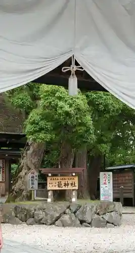 丹後一ノ宮 元伊勢 籠神社(京都府)