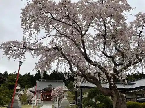 北海道東照宮の自然