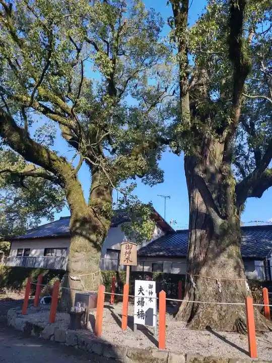 美奈宜神社(福岡県)
