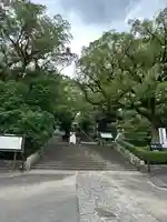 鹿児島神宮(鹿児島県)