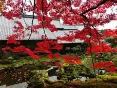 當麻寺(奈良県)