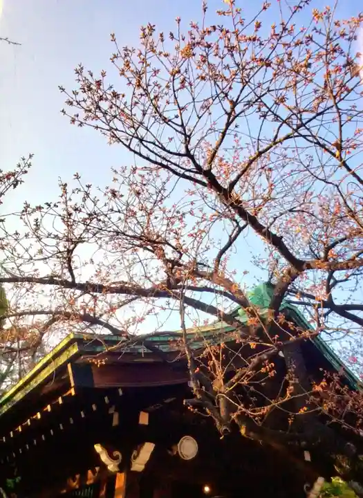 荏原神社(東京都)