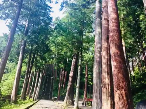 久遠寺の自然