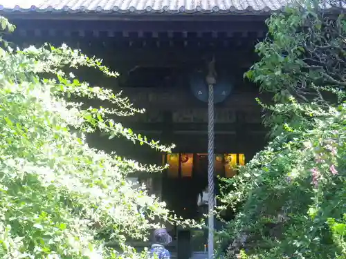 宝戒寺の自然