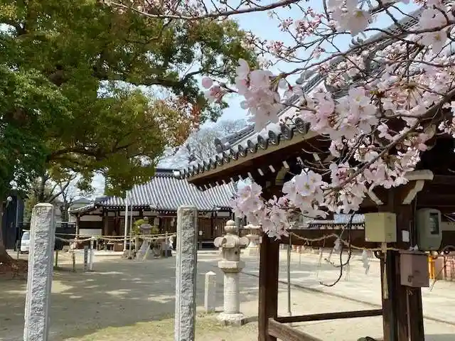 許麻神社(大阪府)