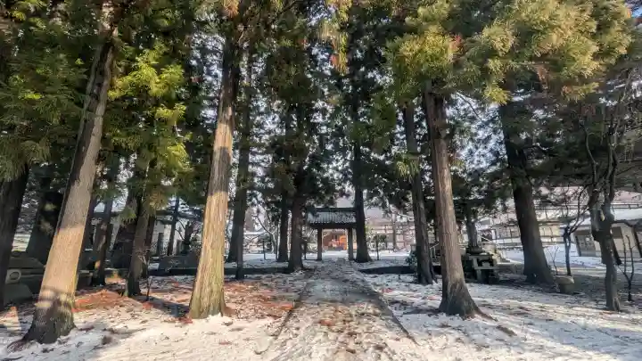 報恩寺の{uncategorized: "未分類", other: "その他", undefined: "問題あり", building: "その他建物", grave: "お墓", sacred_gate: "鳥居", guardian: "狛犬", statue: "像", buddha: "仏像", history: "歴史", nature: "自然", garden: "庭園", animal: "動物", pagoda: "塔", temizu: "手水舎", mountain_gate: "山門・神門", sanctuary: "本殿・本堂", subordinate: "末社・摂社", art: "芸術", scenery: "景色", jizo: "地蔵", ema: "絵馬", goshuin: "御朱印", omikuji: "おみくじ", items: "授与品その他", amulet: "お守り", goshuincho: "御朱印帳", eats: "食事", festival: "お祭り", votive_dance: "神楽", shichigosan: "七五三参", wedding: "結婚式", experience: "体験その他", initially: "初詣", around: "周辺", anti_infection: "感染症対策"}