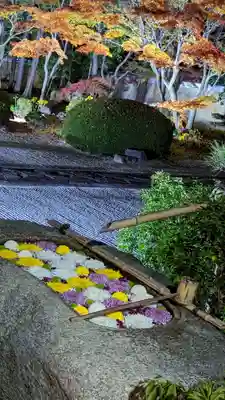 妙顯寺（妙顕寺）(京都府)