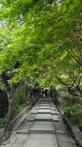 高台寺（高台寿聖禅寺・高臺寺）(京都府)