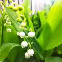 七重浜海津見神社(北海道)