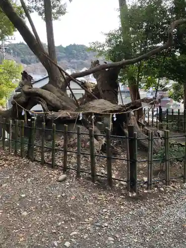 草薙神社の自然