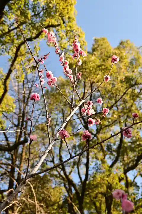 潮江天満宮(高知県)