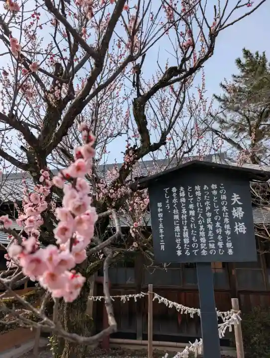 滋賀県護国神社の{uncategorized: "未分類", other: "その他", undefined: "問題あり", building: "その他建物", grave: "お墓", sacred_gate: "鳥居", guardian: "狛犬", statue: "像", buddha: "仏像", history: "歴史", nature: "自然", garden: "庭園", animal: "動物", pagoda: "塔", temizu: "手水舎", mountain_gate: "山門・神門", sanctuary: "本殿・本堂", subordinate: "末社・摂社", art: "芸術", scenery: "景色", jizo: "地蔵", ema: "絵馬", goshuin: "御朱印", omikuji: "おみくじ", items: "授与品その他", amulet: "お守り", goshuincho: "御朱印帳", eats: "食事", festival: "お祭り", votive_dance: "神楽", shichigosan: "七五三参", wedding: "結婚式", experience: "体験その他", initially: "初詣", around: "周辺", anti_infection: "感染症対策"}