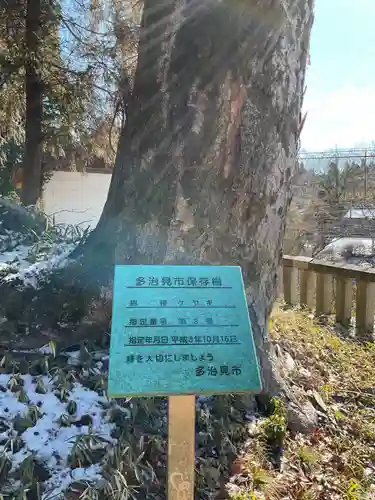 高田神社の自然