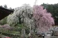 清雲寺の庭園
