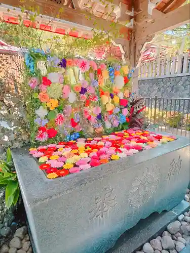 金蛇水神社(宮城県)