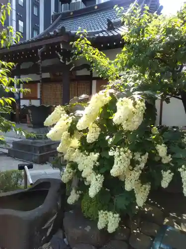 幸福寺(神奈川県)