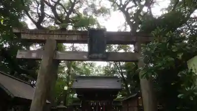 赤坂氷川神社の鳥居
