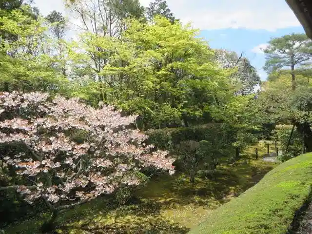 桂春院(京都府)