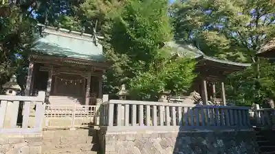 天津神社の本殿・本堂