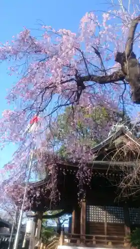 熊野神社の本殿・本堂