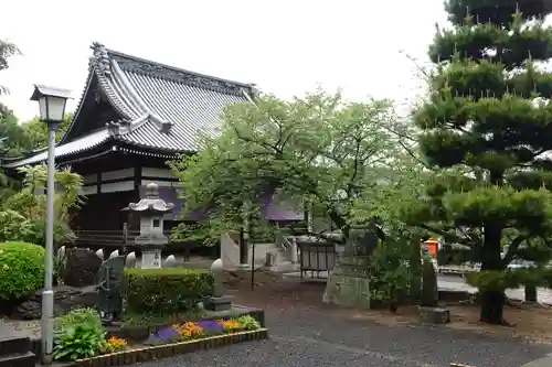 曼荼羅寺(香川県)