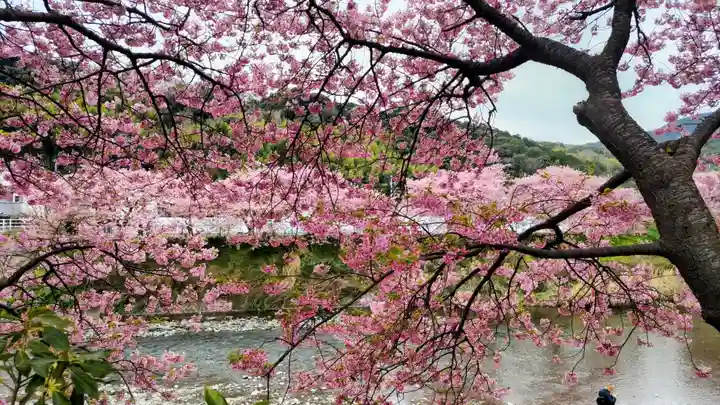 川津来宮神社(静岡県)
