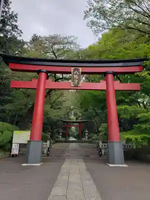 大宮八幡宮の鳥居