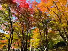 土津神社｜こどもと出世の神さまの景色