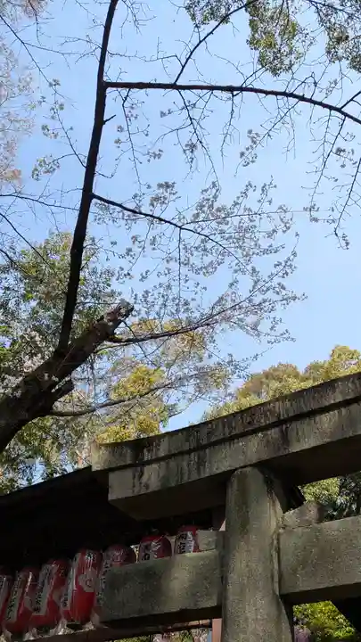 向日神社(京都府)