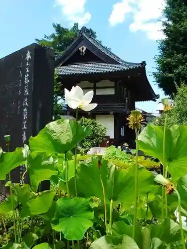野坂寺の自然