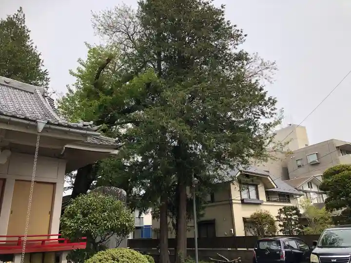 松尾神社(宮城県)